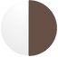 Lucyd Shift Photochromic - Clear to Brown